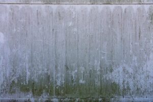 This how mold grows and infests your home.